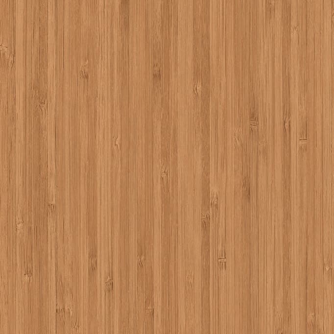 Bamboo