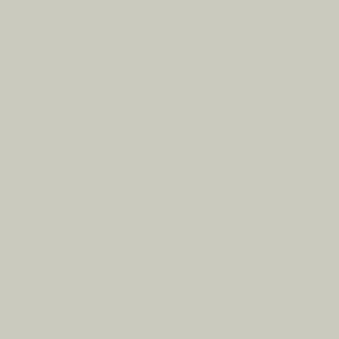 MAT LACQUER SURFACE Breeze Beige