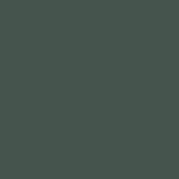 MAT LACQUER SURFACE Forest Green
