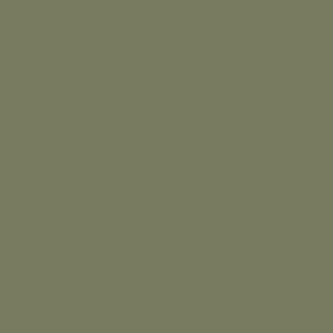 MAT LACQUER SURFACE Linden
