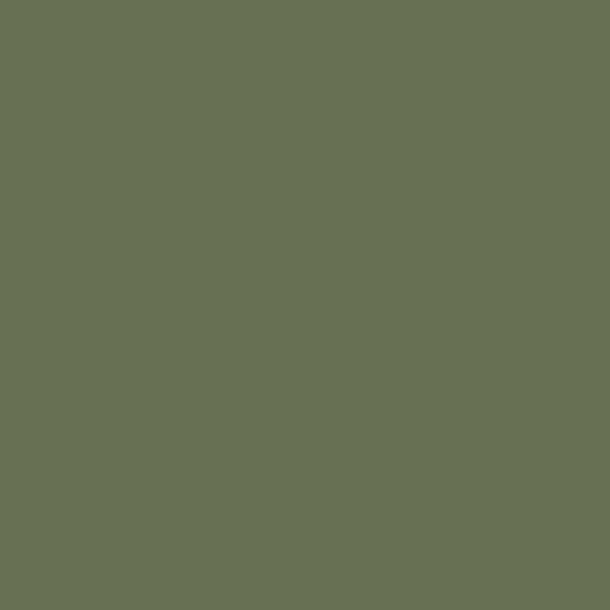 MAT LACQUER SURFACE Olive Green