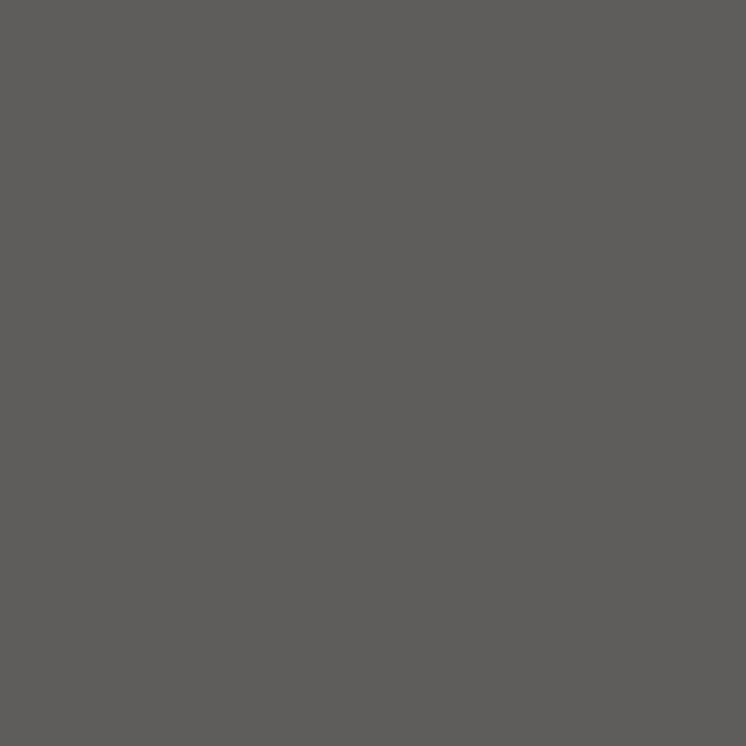 MAT LACQUER SURFACE Royal Grey