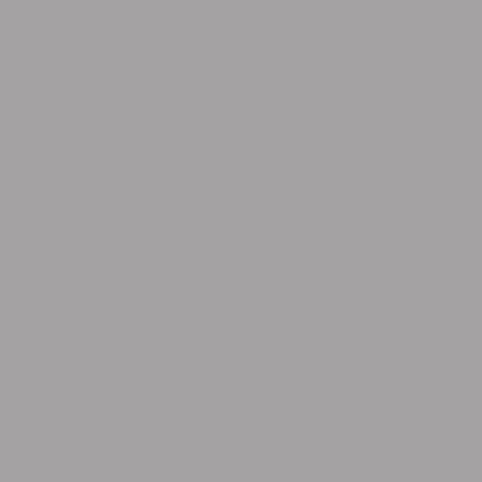 MAT LACQUER SURFACE Safari Grey